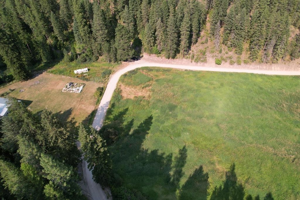 41-xx North Deer Lake Road Loon Lake, WA 99148 - Photo 6 of 12