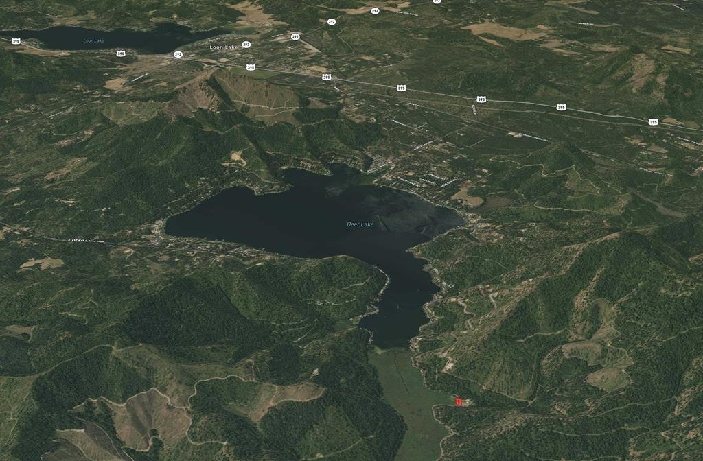 41-xx North Deer Lake Road Loon Lake, WA 99148 - Photo 10 of 12