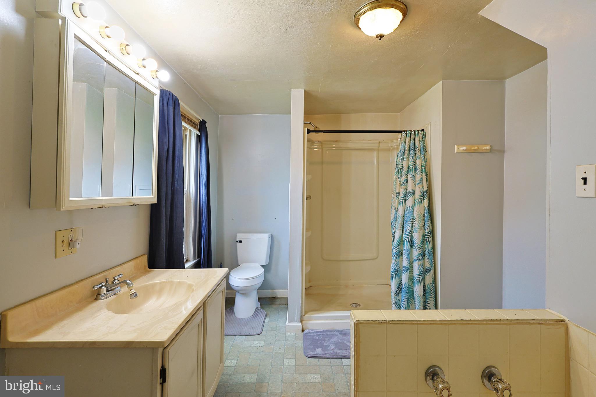 715 Charles Street Romney, WV 26757 - Photo 23 of 44 a bathroom with a sink a toilet and shower
