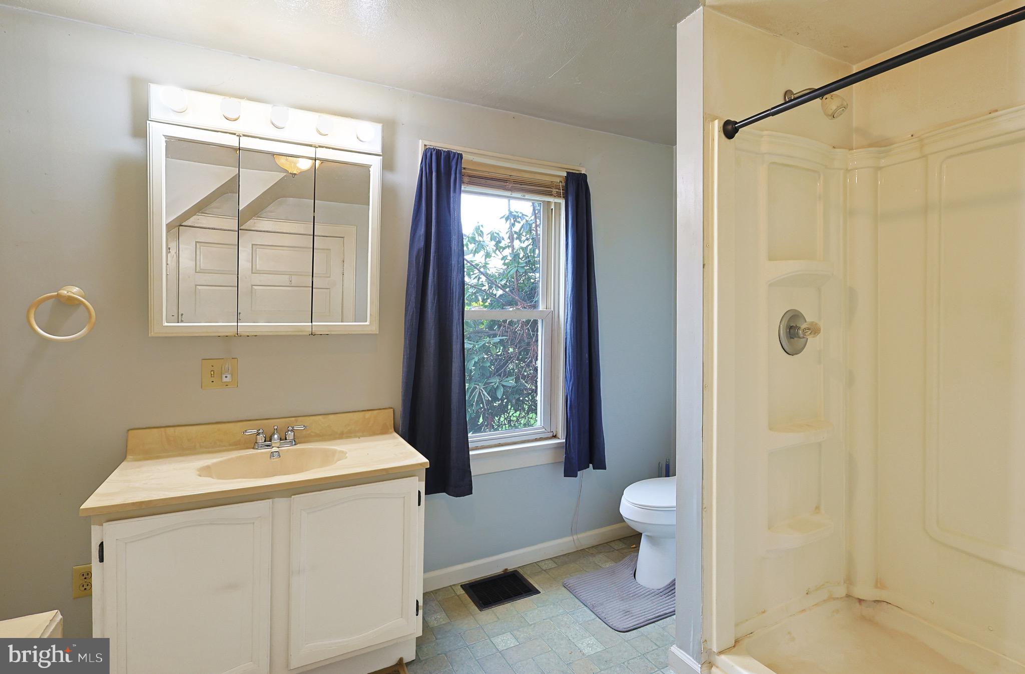715 Charles Street Romney, WV 26757 - Photo 26 of 44 a bathroom with a sink a toilet and shower