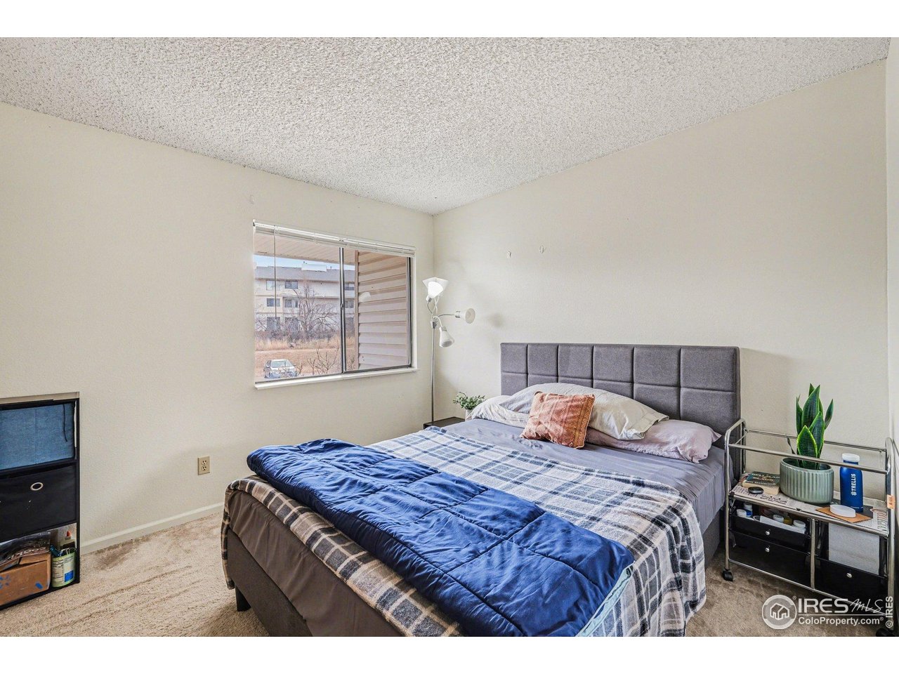 1705 Heatheridge Road, Unit F103 Fort Collins, CO 80526 - Photo 7 of 35