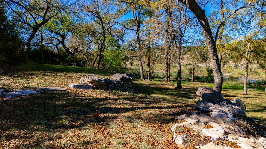635 Fallow Run Hunt, TX 78024 - Photo 14 of 20 a view of backyard with green space