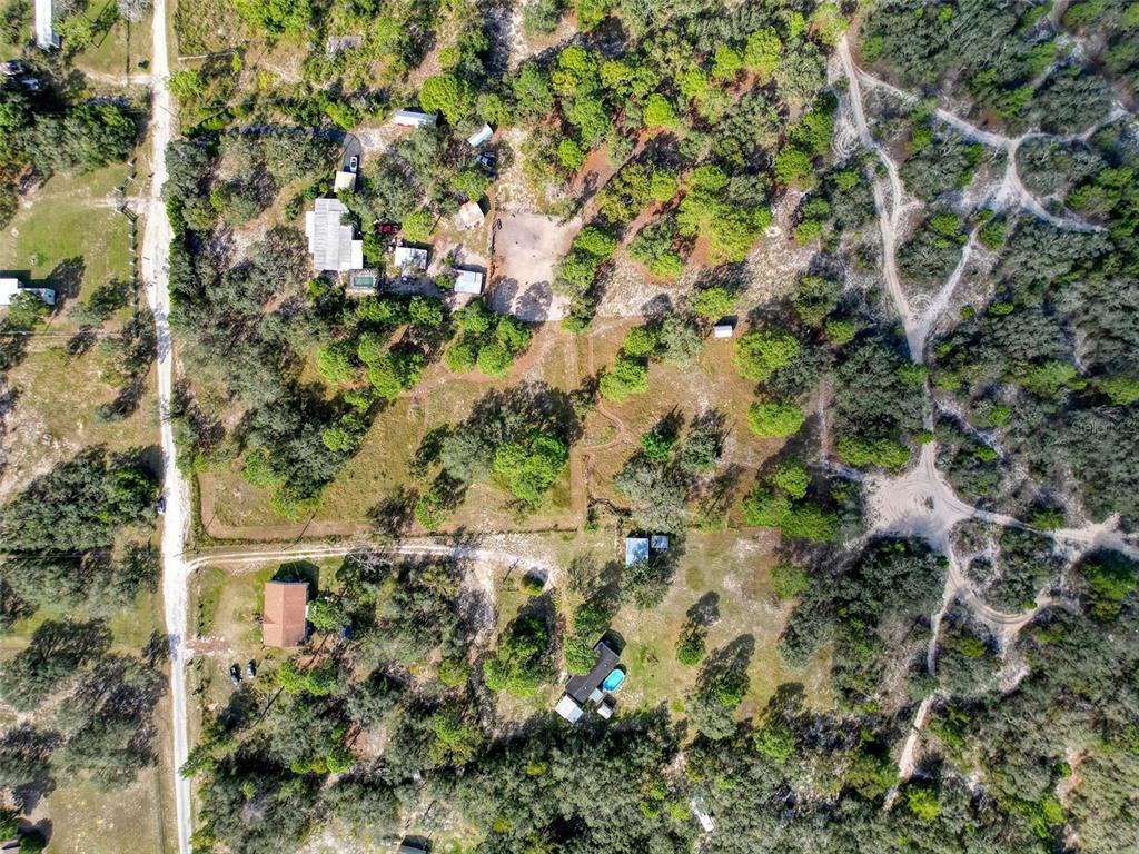 0 Smith Boulevard Hudson, FL 34667 - Photo 8 of 8 a close up of a tree