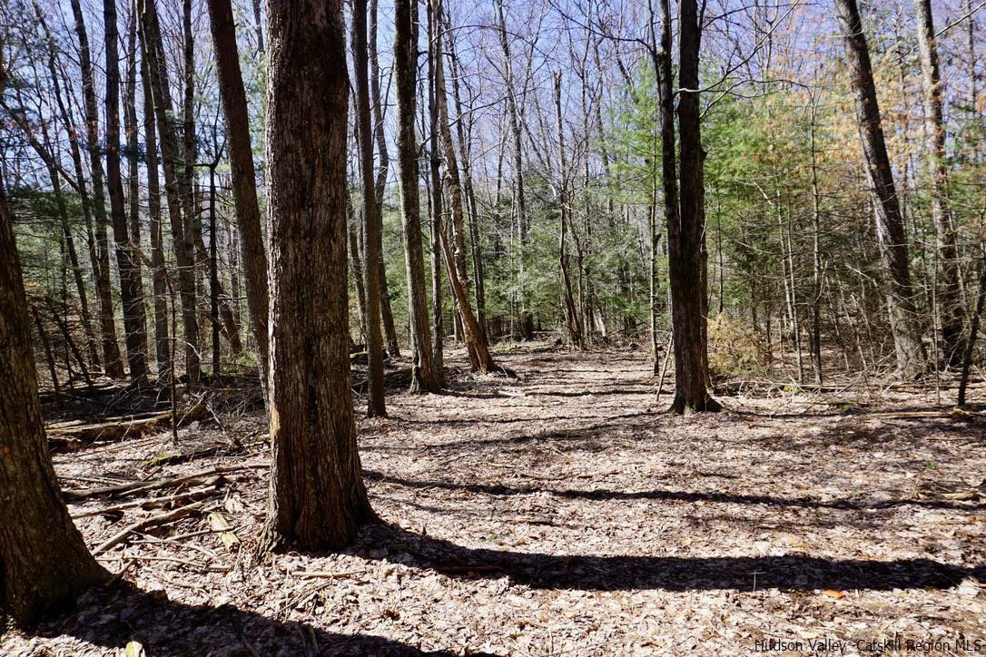 147 Winnie Road Mount Tremper, NY 12457 - Photo 11 of 16 Photo 11