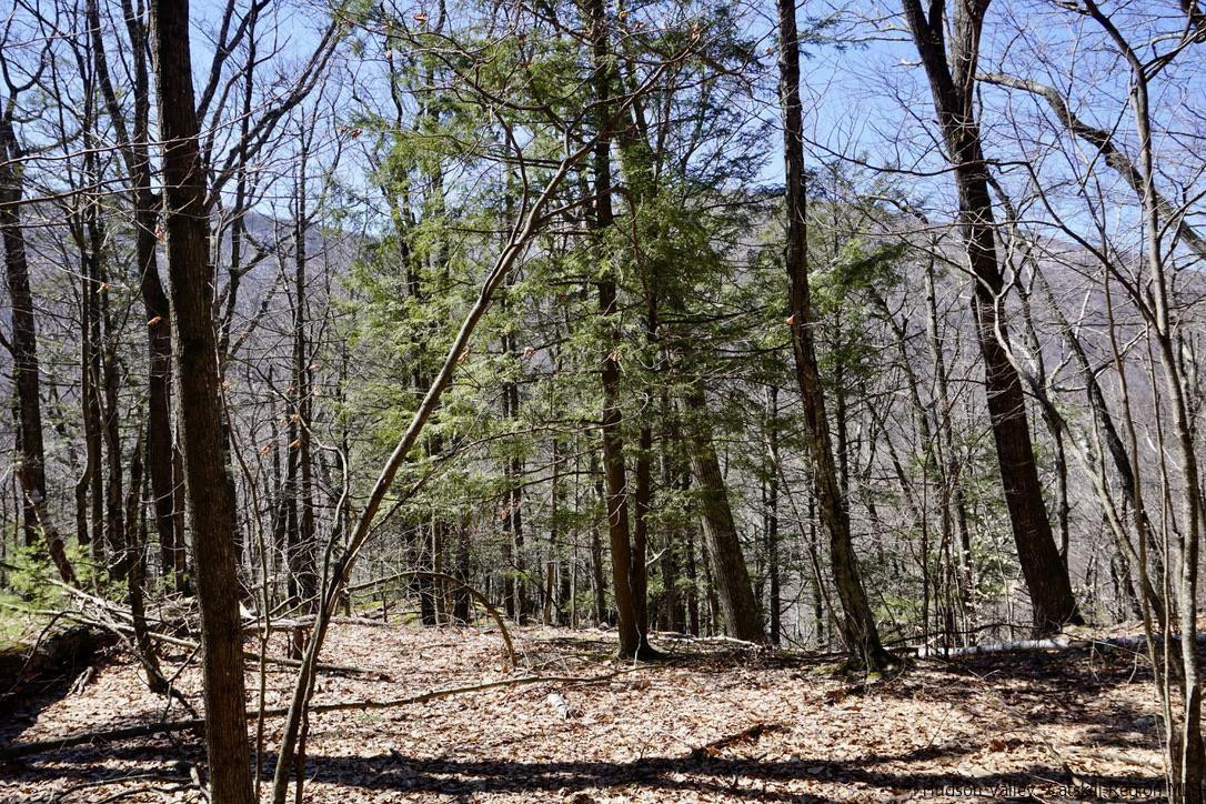 147 Winnie Road Mount Tremper, NY 12457 - Photo 12 of 16 Photo 12