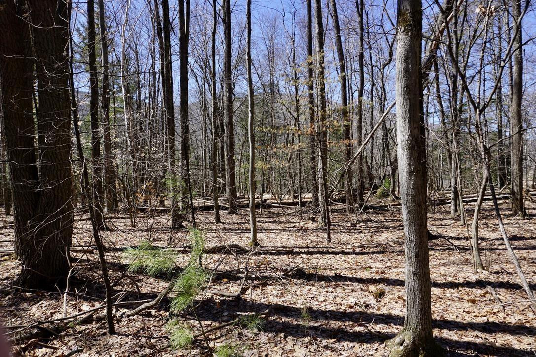 147 Winnie Road Mount Tremper, NY 12457 - Photo 13 of 16 Photo 13