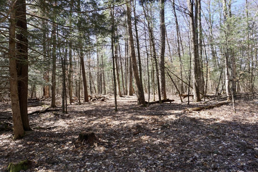 147 Winnie Road Mount Tremper, NY 12457 - Photo 14 of 16 Photo 14