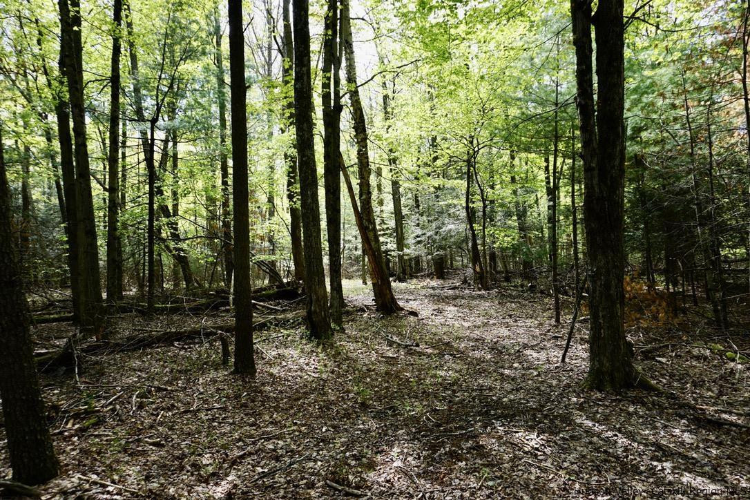 147 Winnie Road Mount Tremper, NY 12457 - Photo 4 of 16 Photo 4