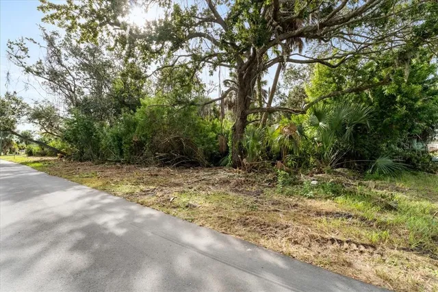 a view of a yard with plants and trees