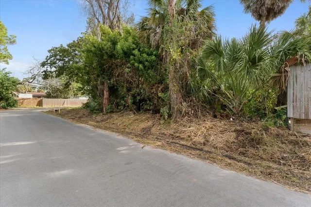 a view of a yard with plants and trees