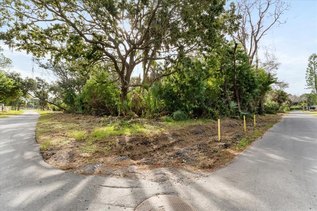 Pier Road New Port Richey, FL 34652 - Photo 6 of 17 a view of a yard with plants and trees