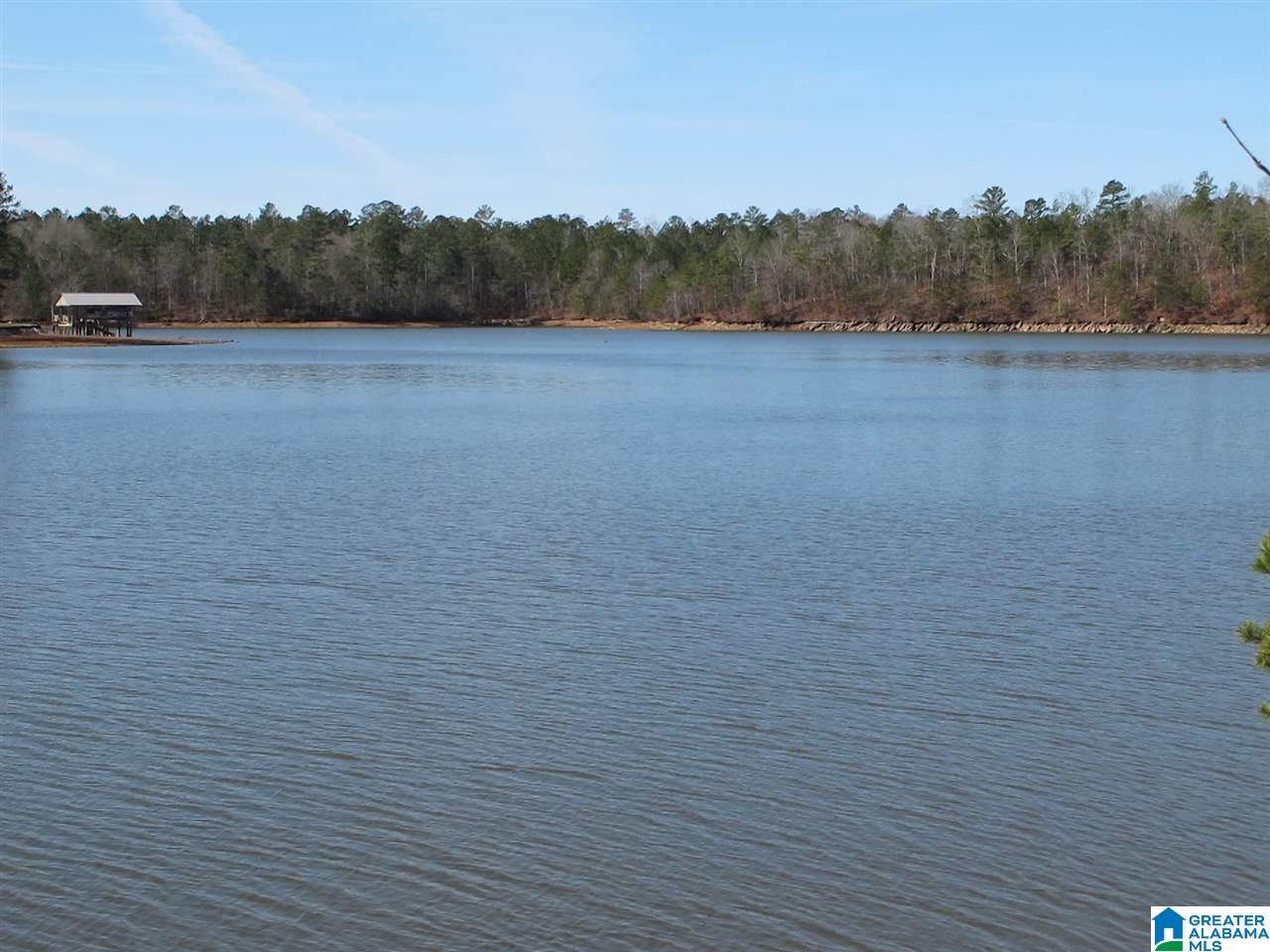 0 County Road 256 Wedowee, AL 36278 - Photo 1 of 8