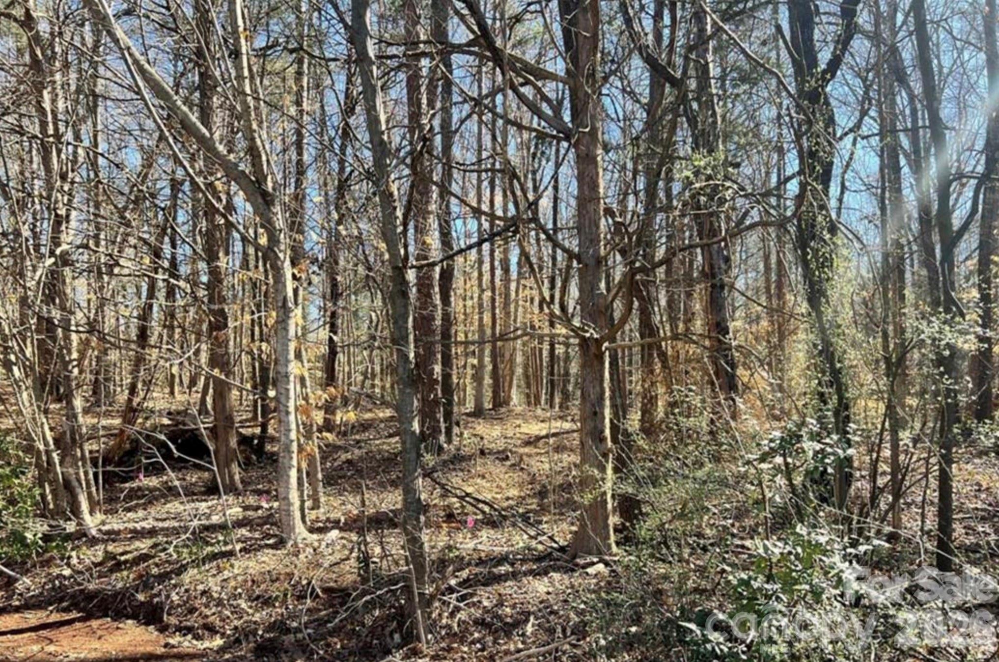 2 Lurecliff Place Fort Mill, SC 29708 - Photo 3 of 3