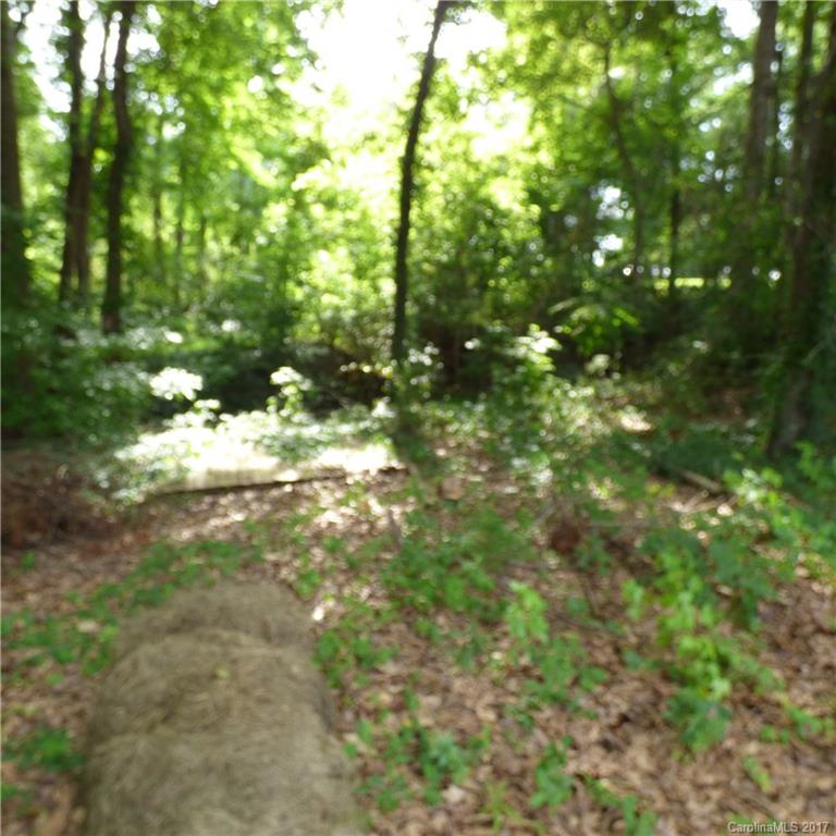 2313 Mariposa Road Stanley, NC 28164 - Photo 19 of 20 Gallery Image 19