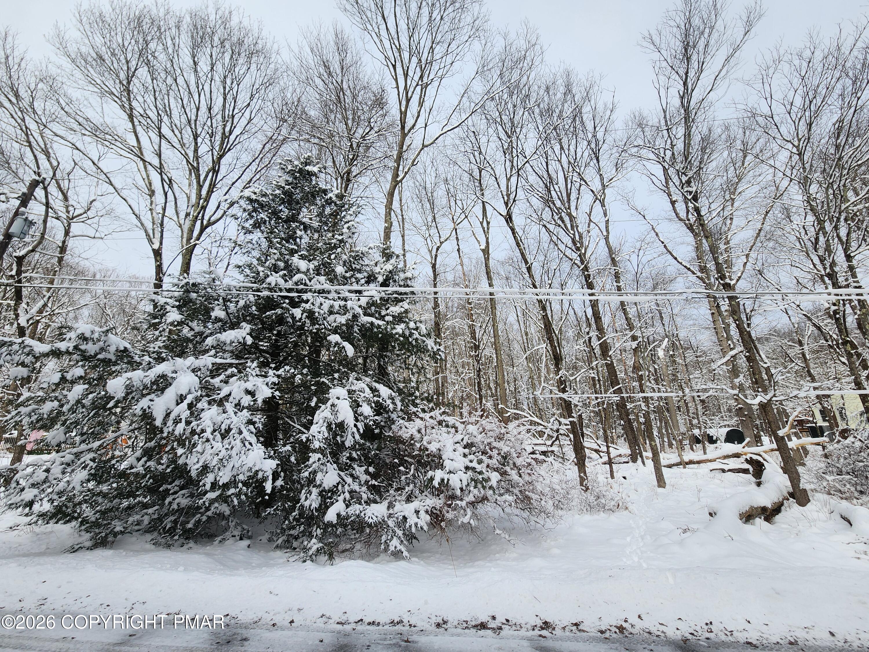 J698 Autumn Lane Jim Thorpe, PA 18229 - Photo 3 of 4 a view of yard covered with snow