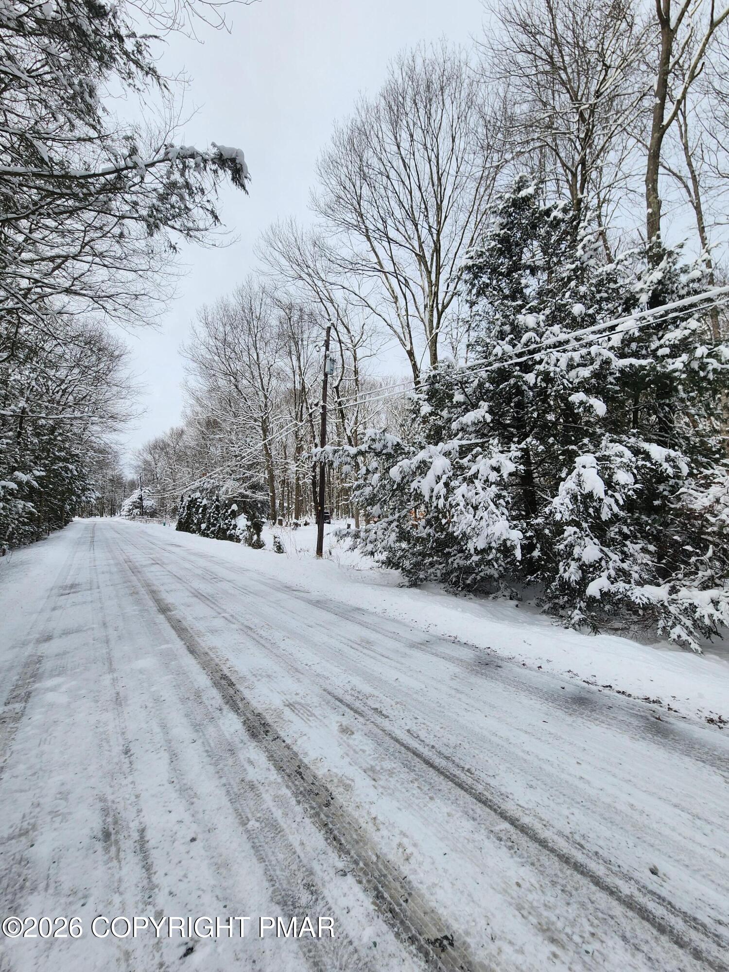 J698 Autumn Lane Jim Thorpe, PA 18229 - Photo 4 of 4 a view of dirt yard and a large tree