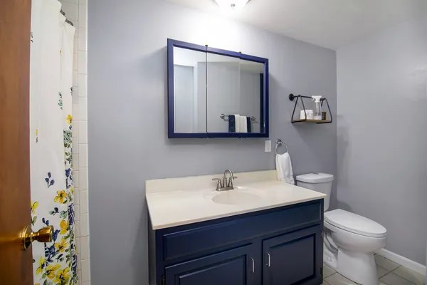 a bathroom with a sink mirror and toilet
