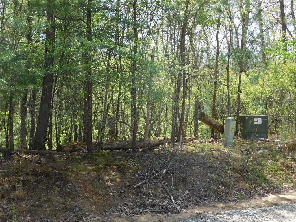 0 Dallas Lane Blue Ridge, GA 30513 - Photo 11 of 27 a view of outdoor space and trees