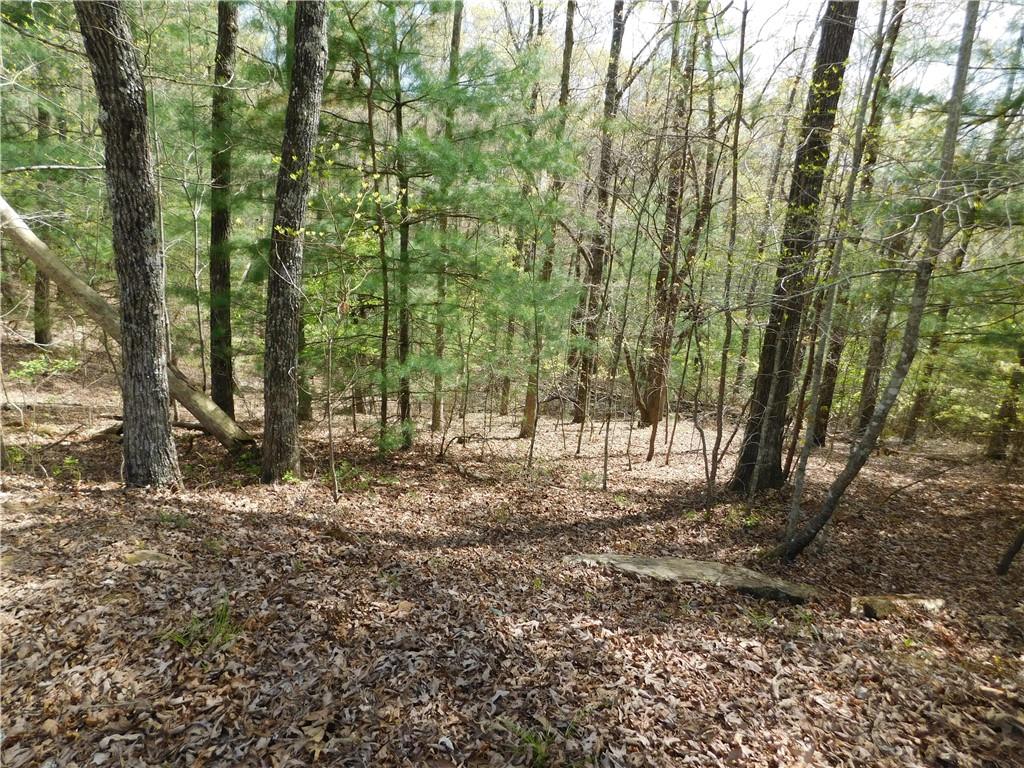 0 Dallas Lane Blue Ridge, GA 30513 - Photo 14 of 27 a view of outdoor space with trees