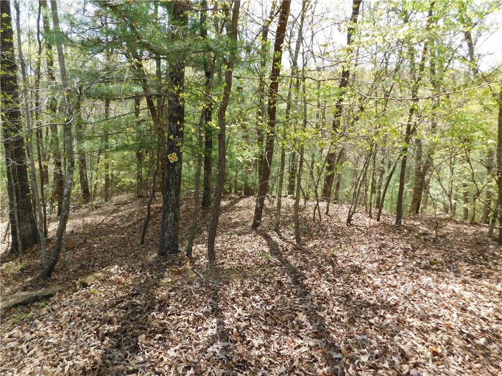 0 Dallas Lane Blue Ridge, GA 30513 - Photo 15 of 27 a view of a forest with trees