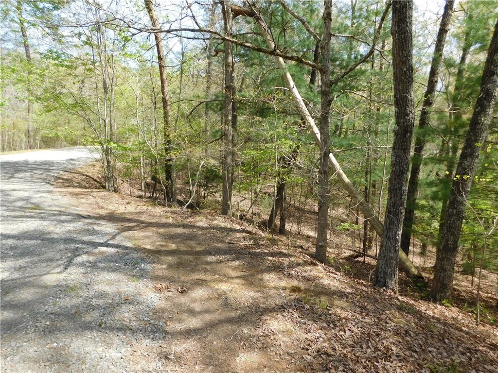 0 Dallas Lane Blue Ridge, GA 30513 - Photo 16 of 27 a view of a yard with trees