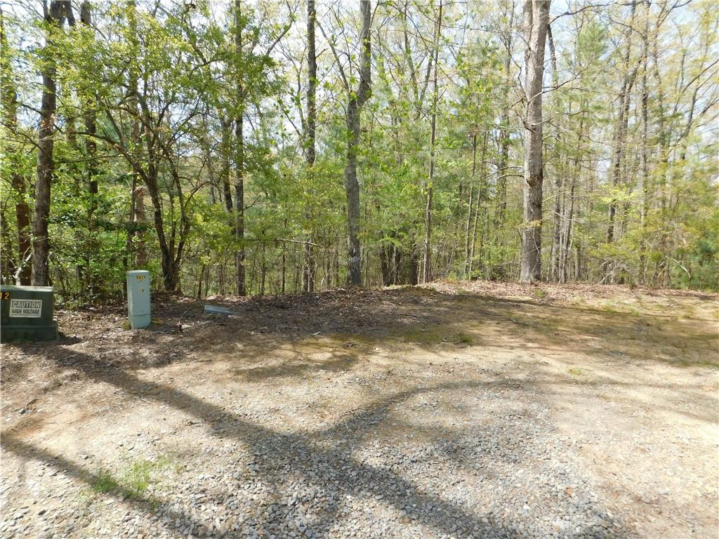 0 Dallas Lane Blue Ridge, GA 30513 - Photo 18 of 27 a view of outdoor space with trees