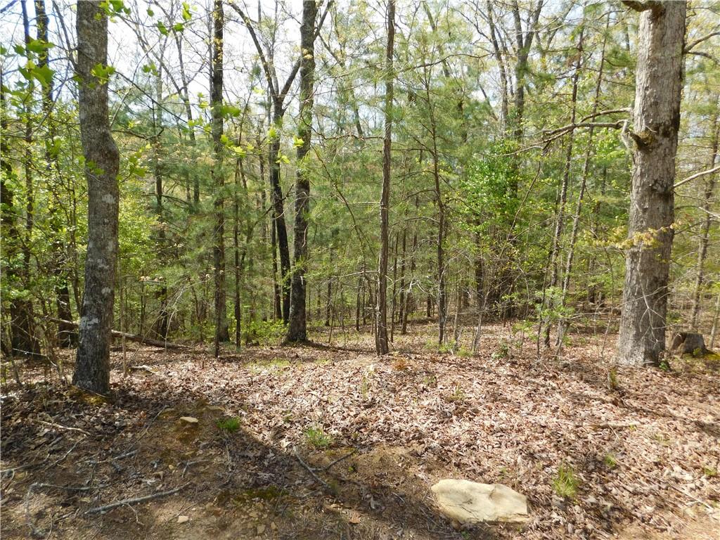 0 Dallas Lane Blue Ridge, GA 30513 - Photo 20 of 27 a view of outdoor space with lots of trees