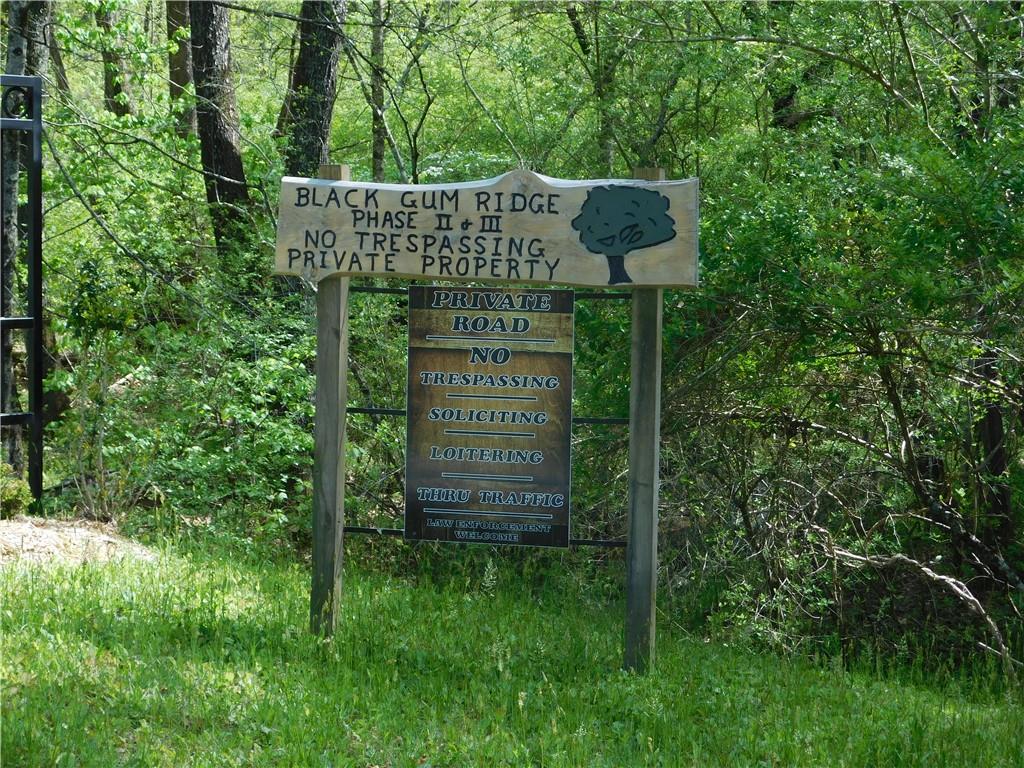 0 Dallas Lane Blue Ridge, GA 30513 - Photo 2 of 27 a view of a wooden door and a trees