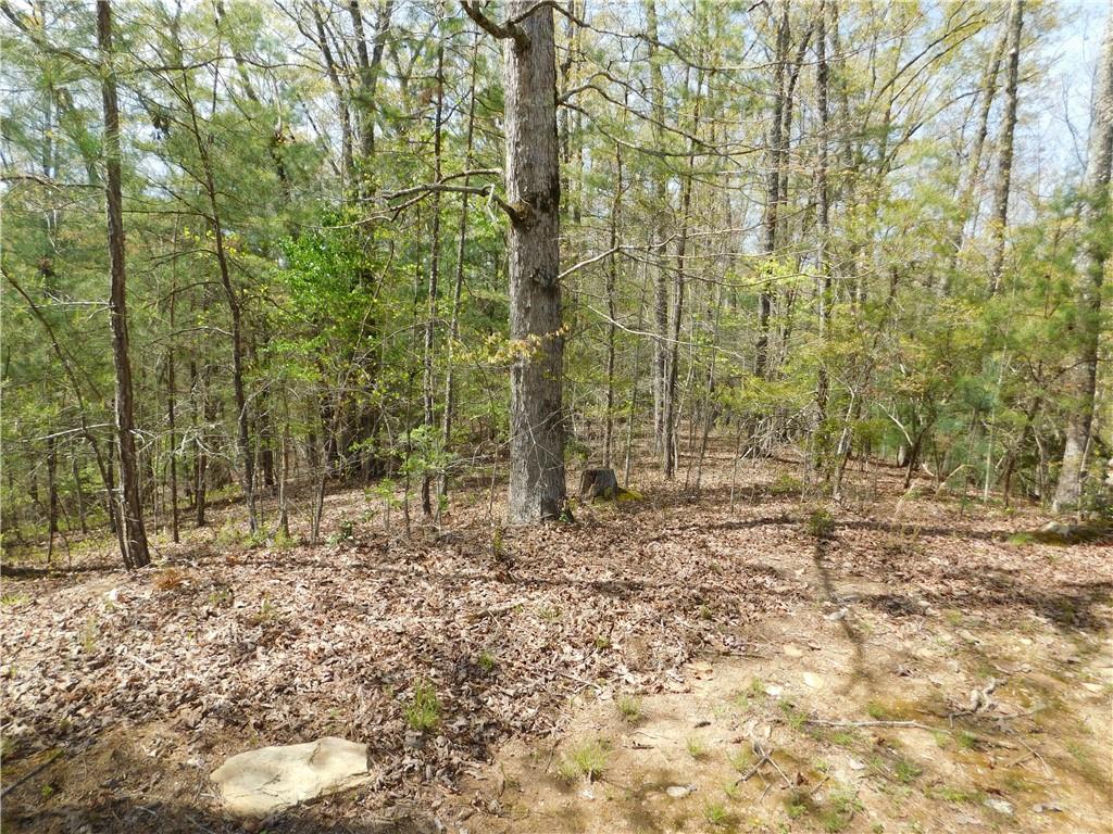 0 Dallas Lane Blue Ridge, GA 30513 - Photo 21 of 27