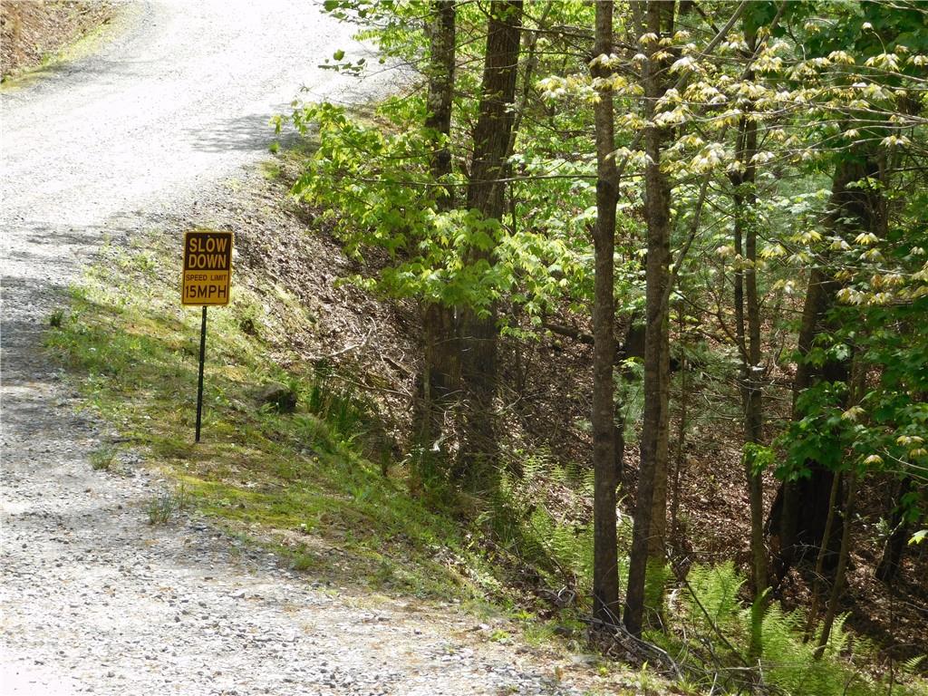 0 Dallas Lane Blue Ridge, GA 30513 - Photo 22 of 27 a view of a yard