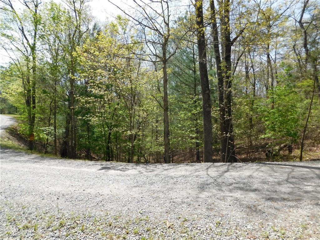 0 Dallas Lane Blue Ridge, GA 30513 - Photo 23 of 27 a view of backyard with large trees