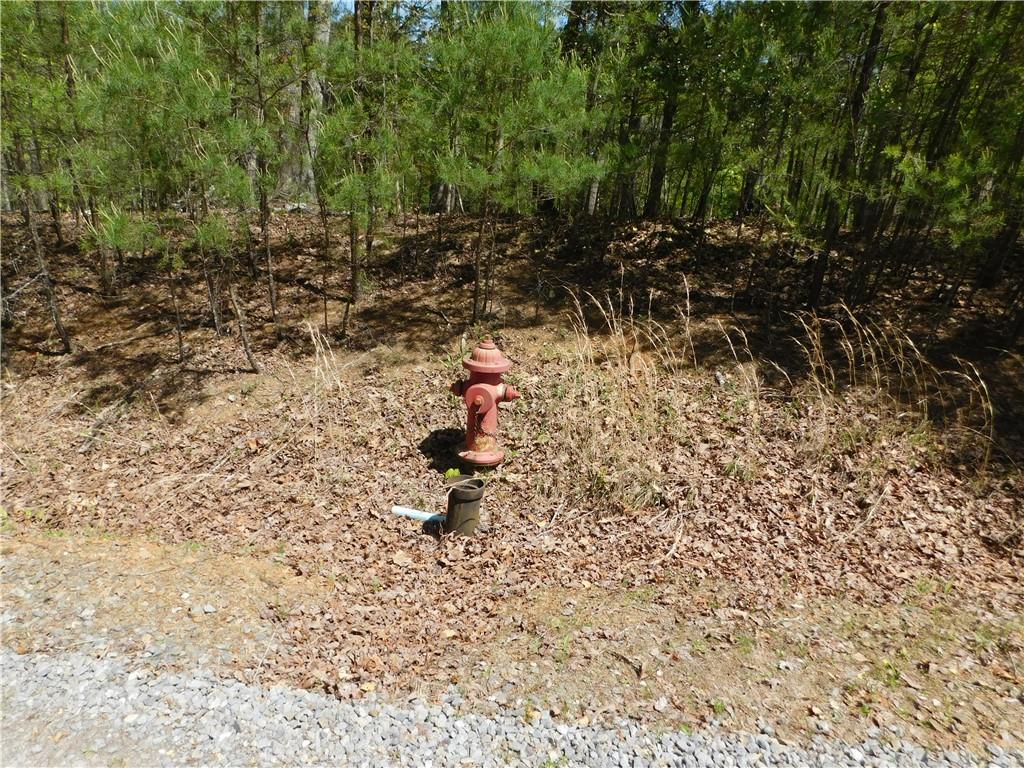 0 Dallas Lane Blue Ridge, GA 30513 - Photo 24 of 27 a view of a backyard