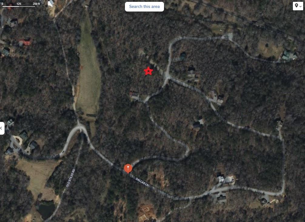 0 Dallas Lane Blue Ridge, GA 30513 - Photo 6 of 27 a picture of street view