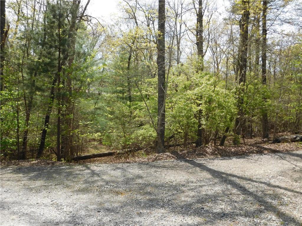 0 Dallas Lane Blue Ridge, GA 30513 - Photo 8 of 27 a view of backyard with green space