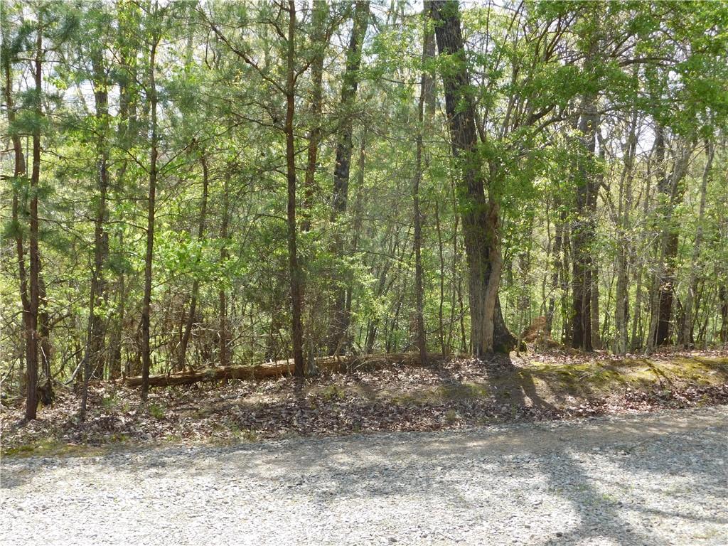 0 Dallas Lane Blue Ridge, GA 30513 - Photo 9 of 27 a view of outdoor space and trees