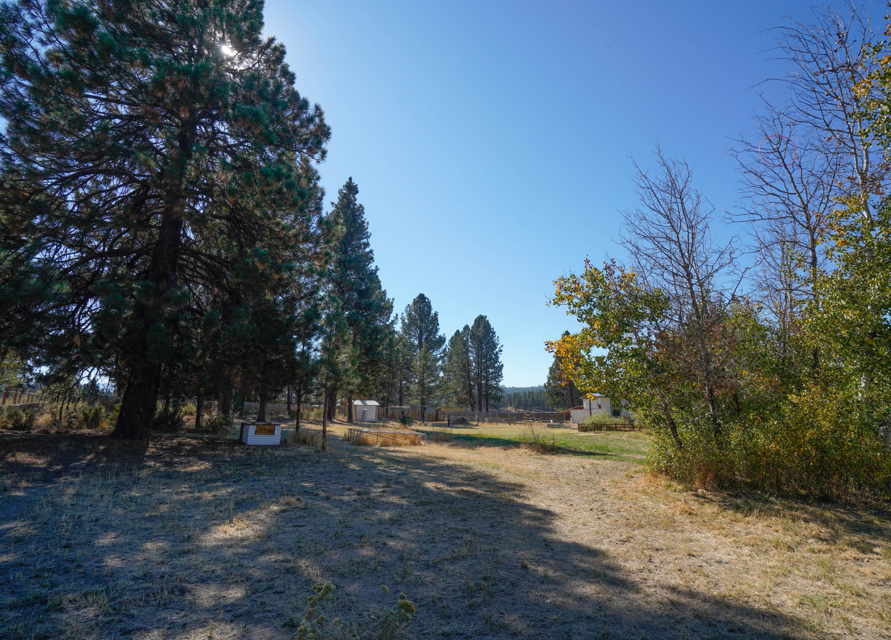 39752 9 Mile Road Chiloquin, OR 97624 - Photo 4 of 34 4