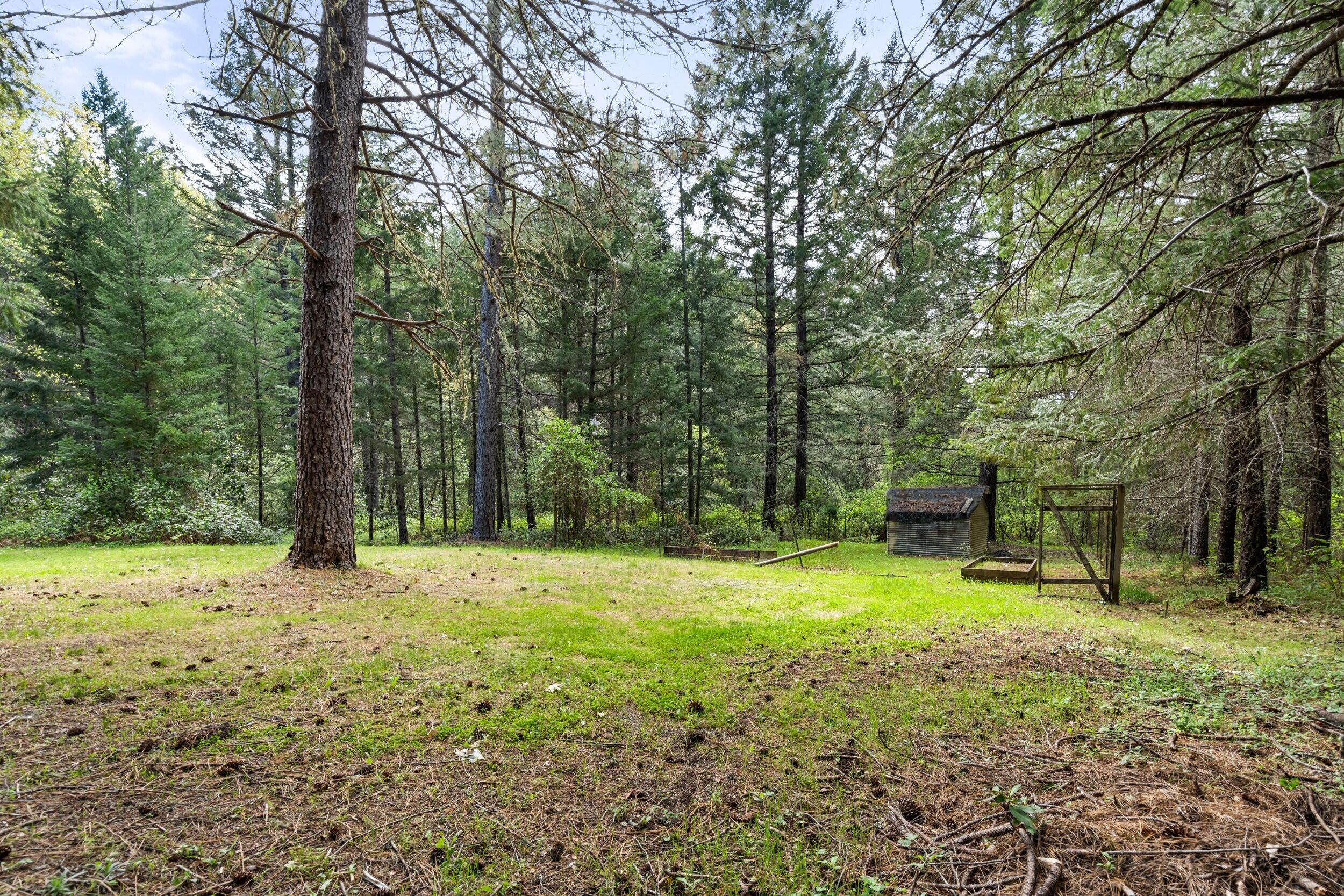 453 Glendon Road Cave Junction, OR 97523 - Photo 40 of 56 1_6