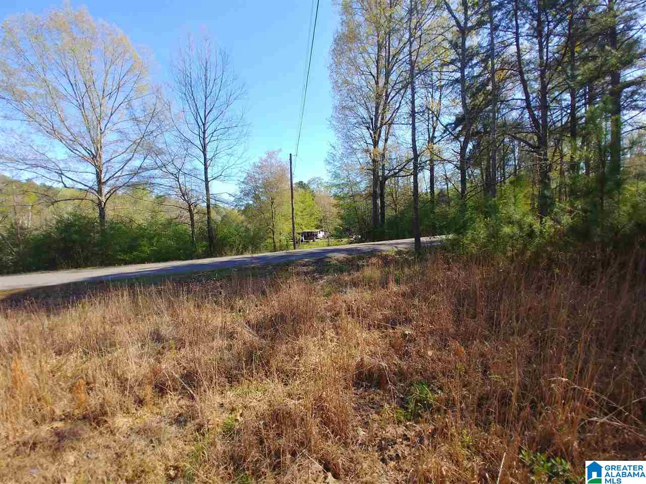 0 Roberts Mill Pond Road, Unit 1 39 Pell City, AL 35128 - Photo 16 of 29