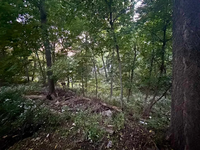 $215,000 | 420 North High Street, Galena, IL 61036