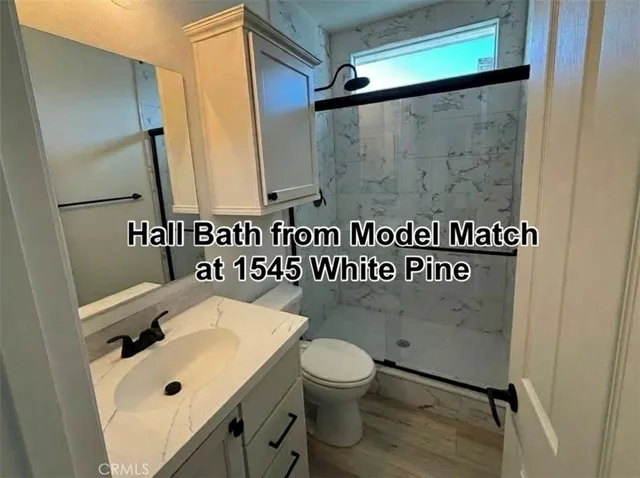 a bathroom with a sink and a toilet