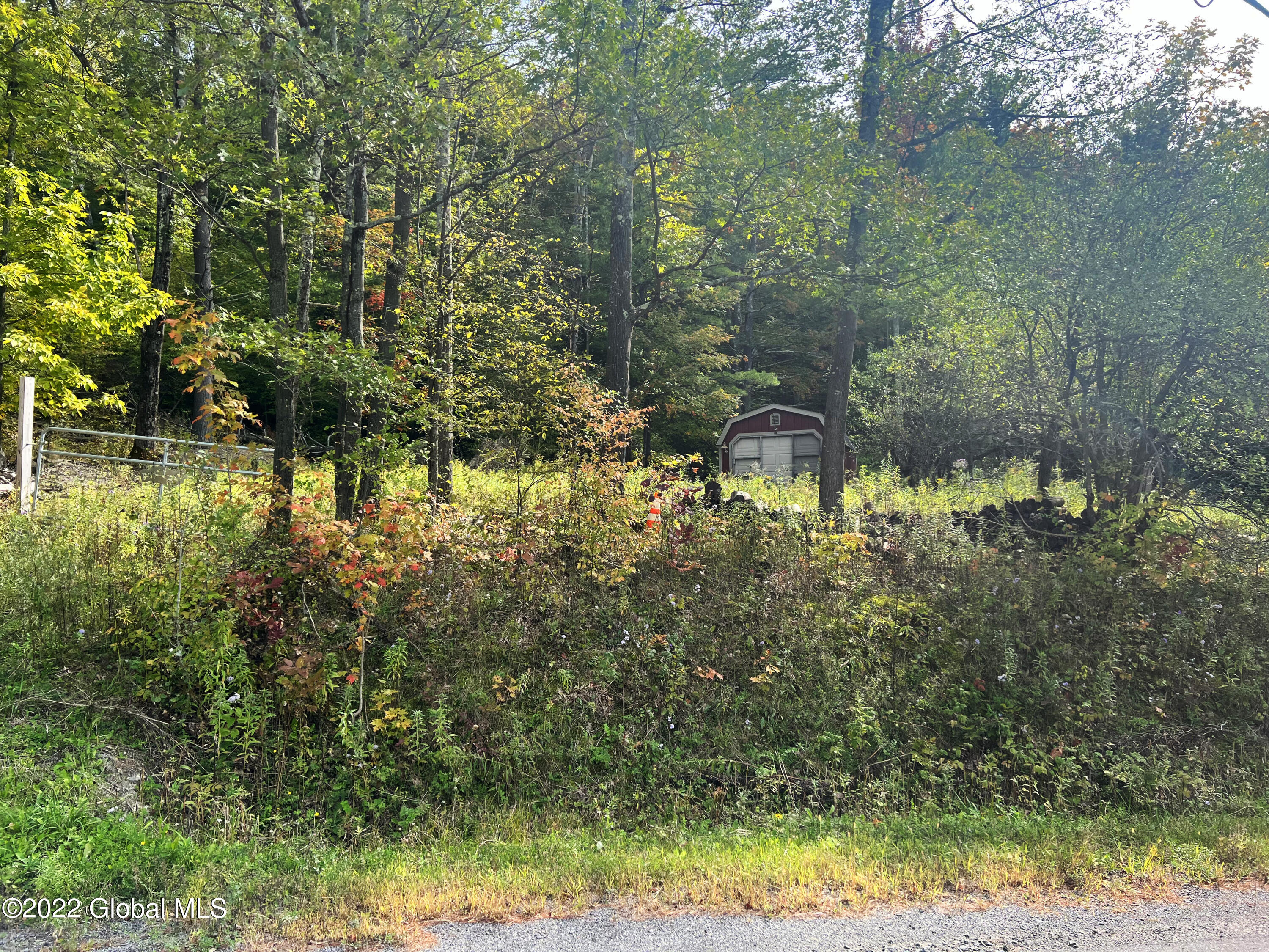 502 Cotton Hill Road Middleburgh, NY 12122 - Photo 3 of 5 502 Cotton Hill Rd