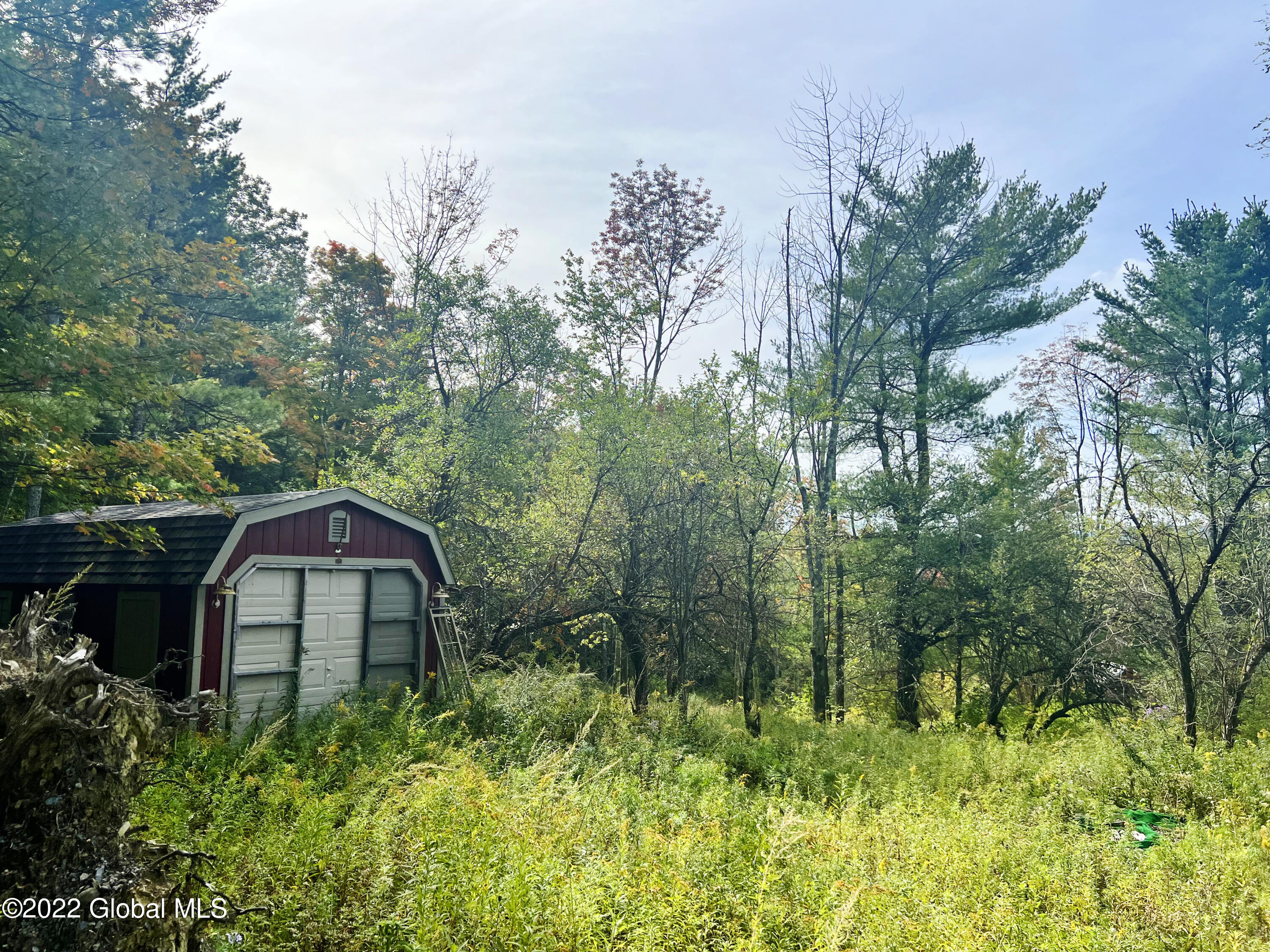 502 Cotton Hill Road Middleburgh, NY 12122 - Photo 4 of 5 502 Cotton Hill Rd