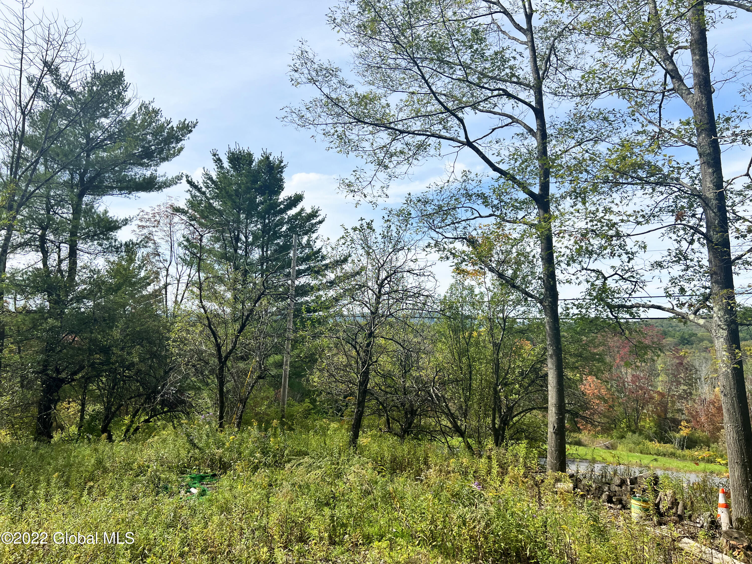502 Cotton Hill Road Middleburgh, NY 12122 - Photo 5 of 5 502 Cotton Hill Rd