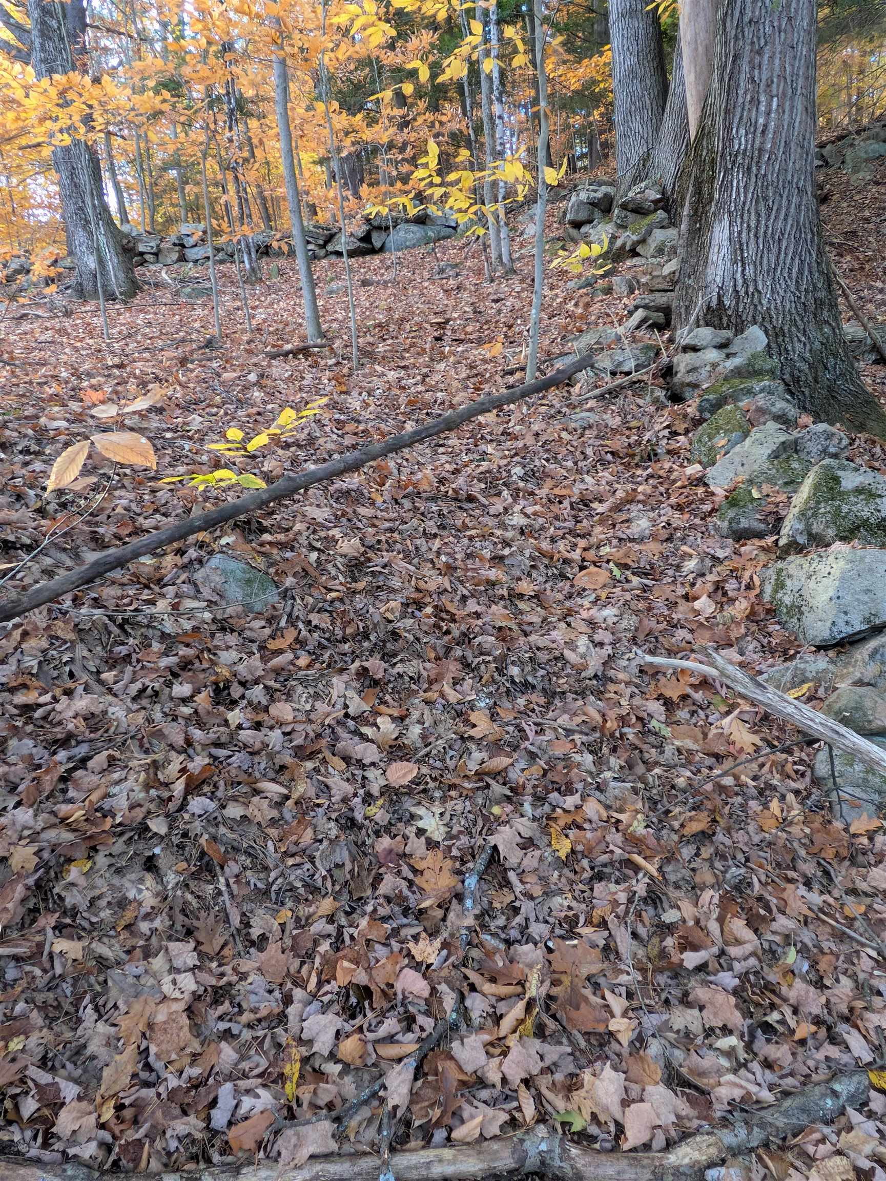 43 Westmoreland Road Chesterfield, NH 03462 - Photo 39 of 40