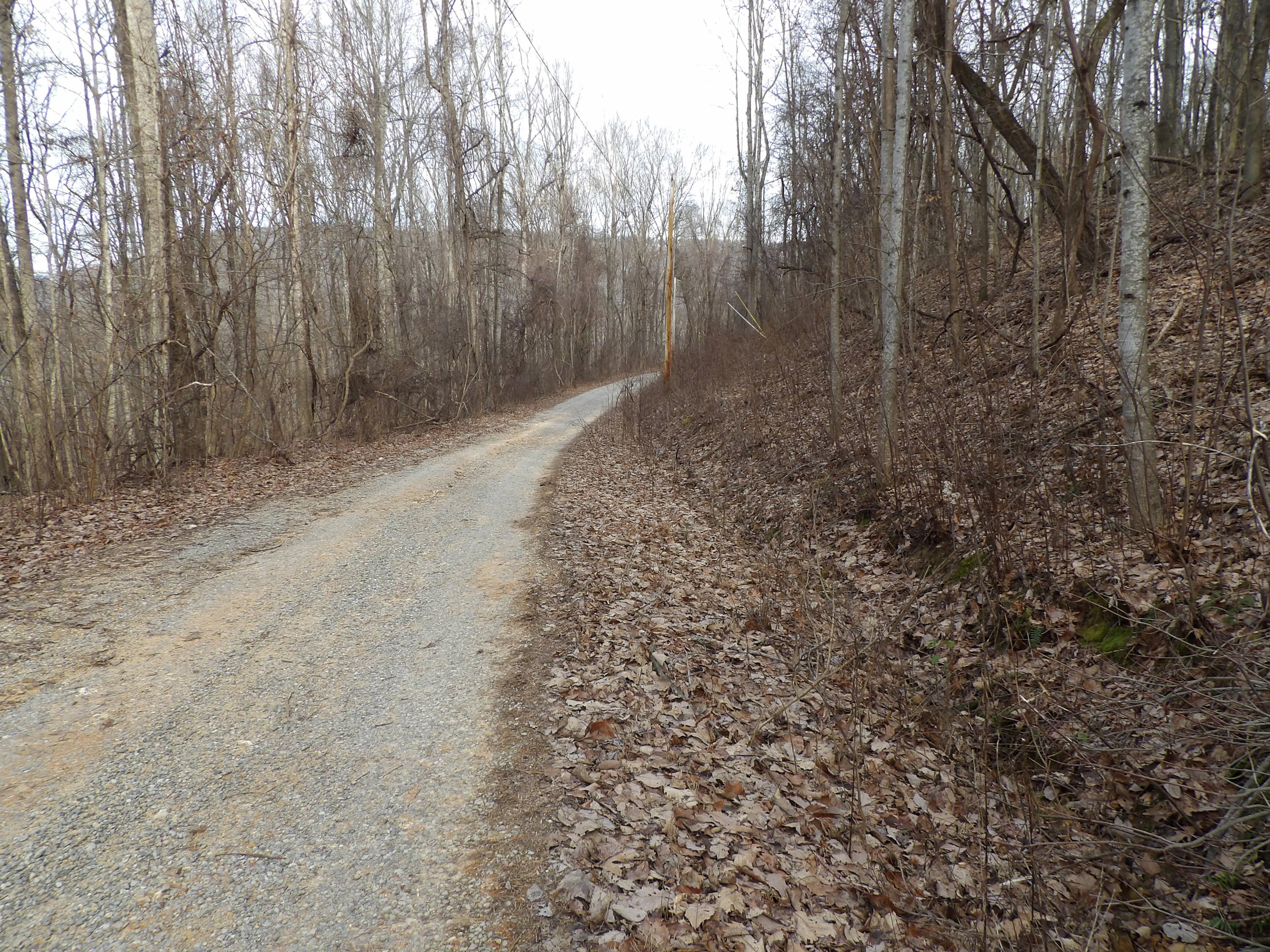 5 Cherokee Ridge Road, Unit 110 Pikeville, TN 37367 - Photo 1 of 9 100_0541