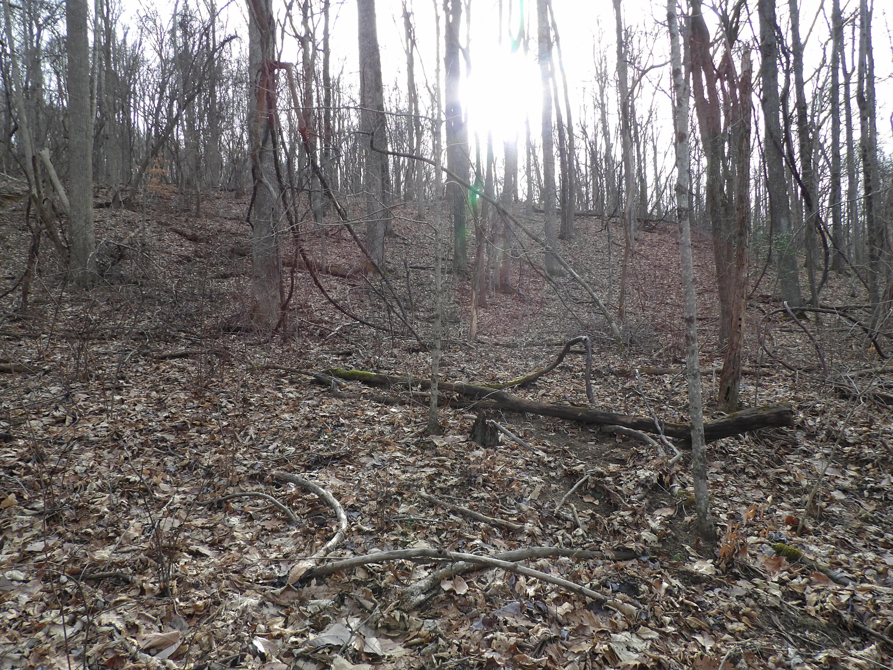 5 Cherokee Ridge Road, Unit 110 Pikeville, TN 37367 - Photo 4 of 9 100_0544