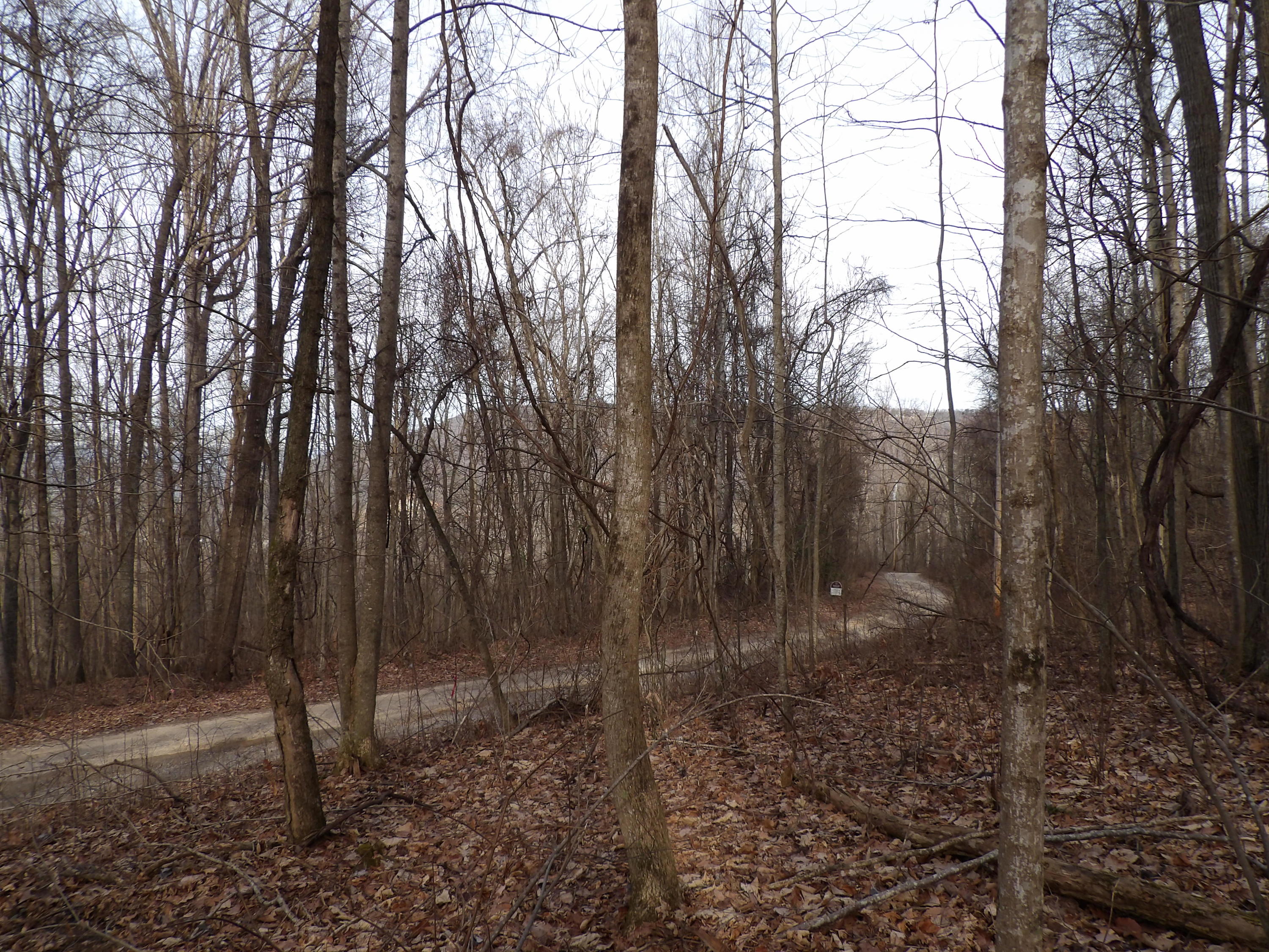 5 Cherokee Ridge Road, Unit 110 Pikeville, TN 37367 - Photo 6 of 9 100_0546