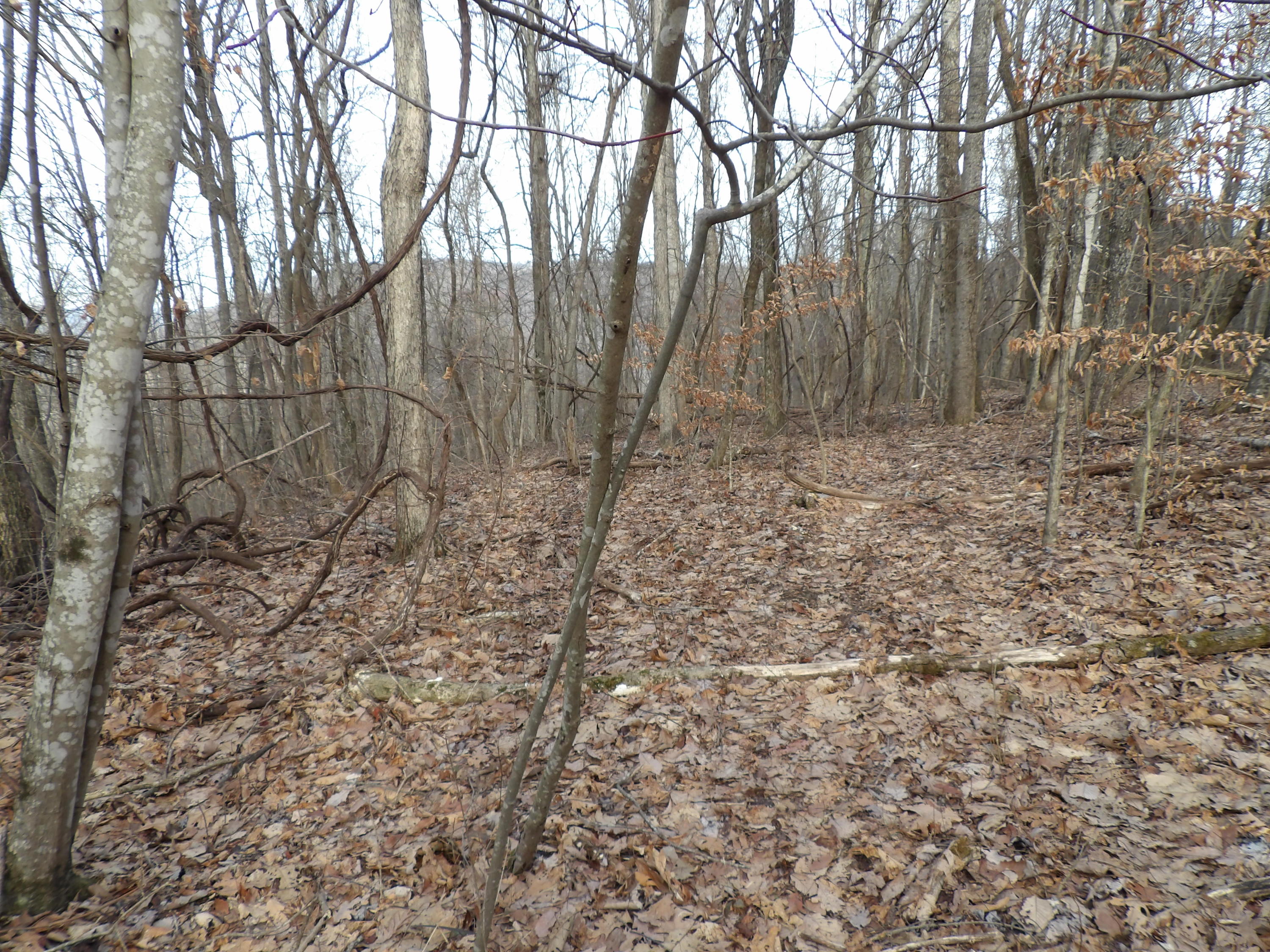 5 Cherokee Ridge Road, Unit 110 Pikeville, TN 37367 - Photo 7 of 9 100_0547