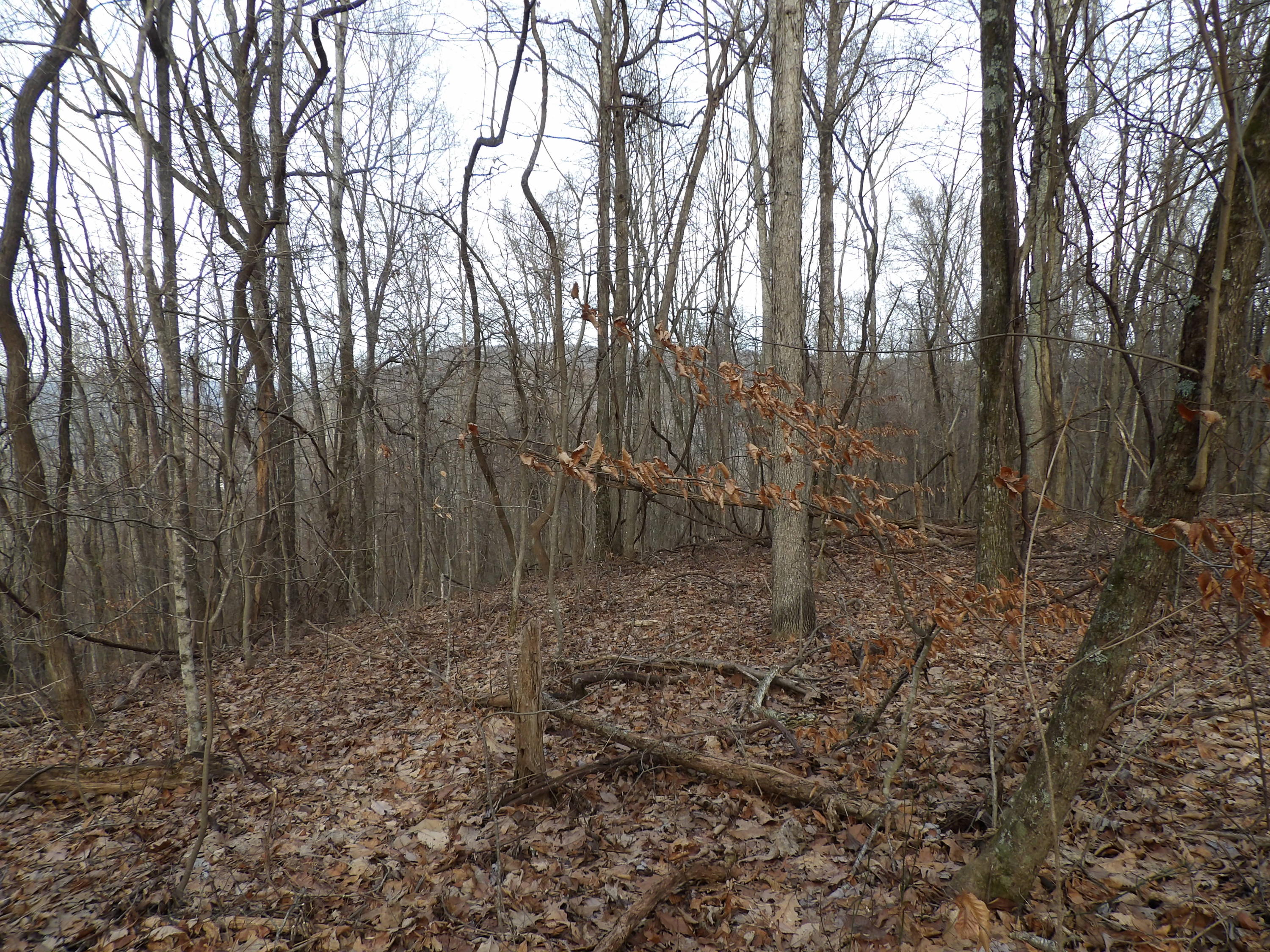 5 Cherokee Ridge Road, Unit 110 Pikeville, TN 37367 - Photo 9 of 9 100_0549