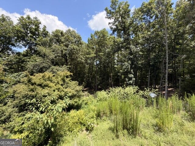 1657 Chubb Road Cave Spring, GA 30124 - Photo 15 of 16 Gallery Image 15